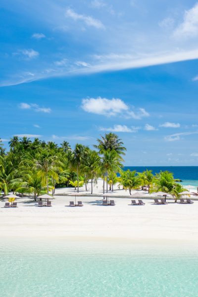 Travel Insurance